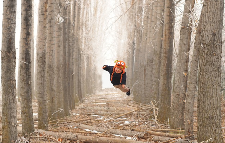 Wil flying in trees