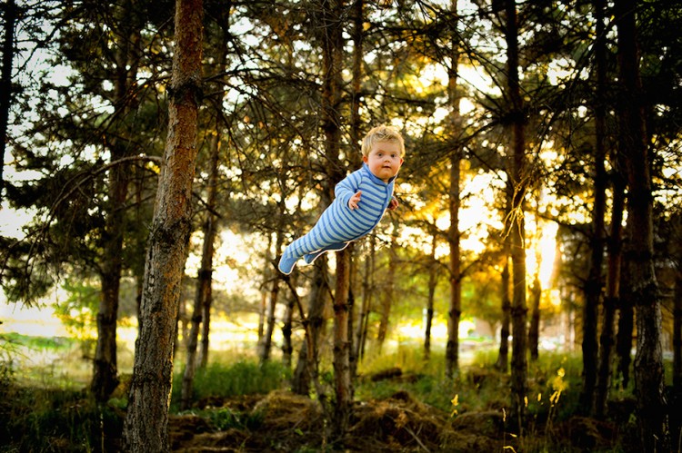 Wil in the forrest