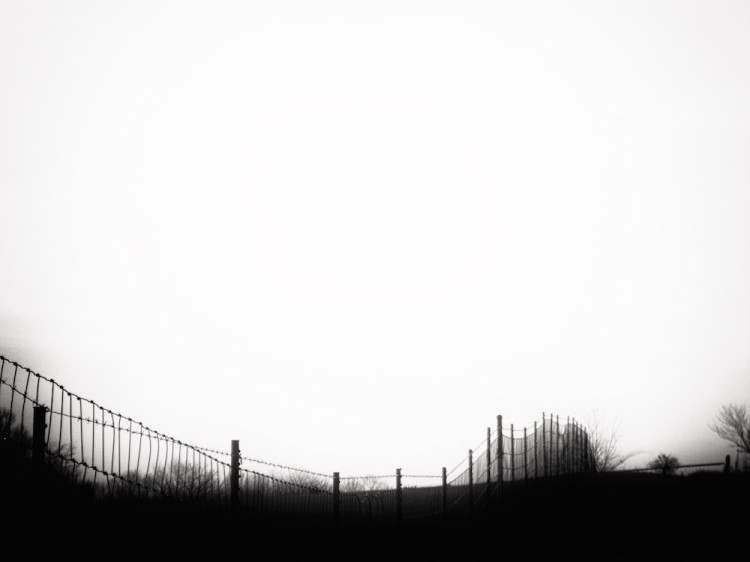 Fence Line