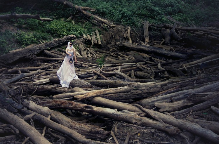 A woman stands on fallen logs holding a lantern. She swears a white dress, a white veil and a black blindfold. 