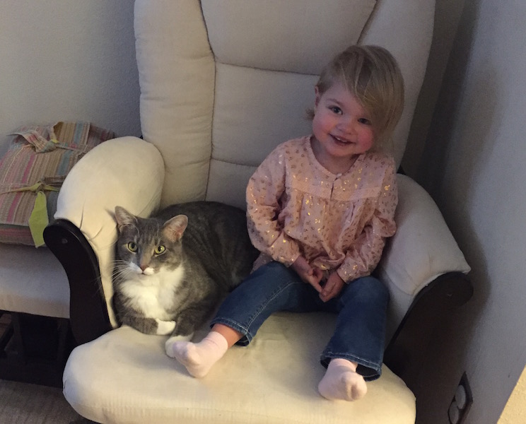 little girl in armchair with cat