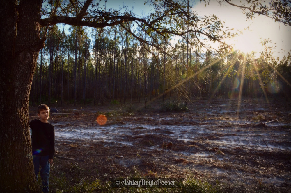 son standing by a tree