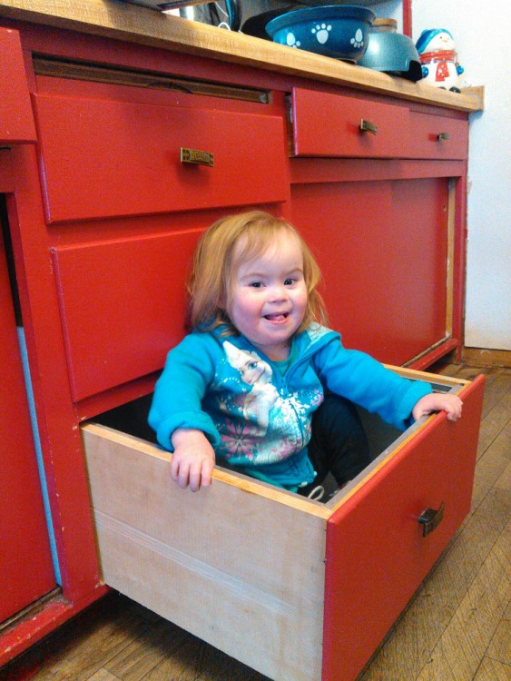 Willow in a kitchen drawer