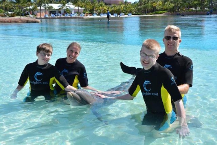 family in pool with dolphin