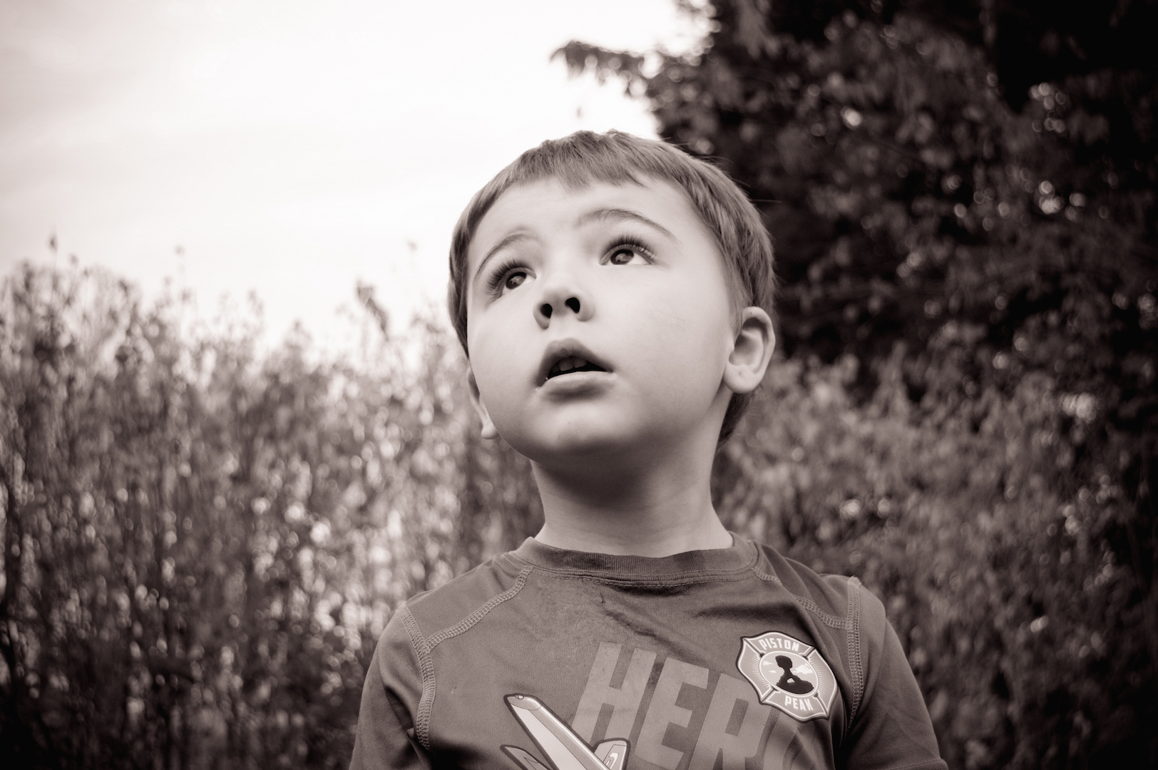 Black and white photo of little boy looking up with a tree in the background