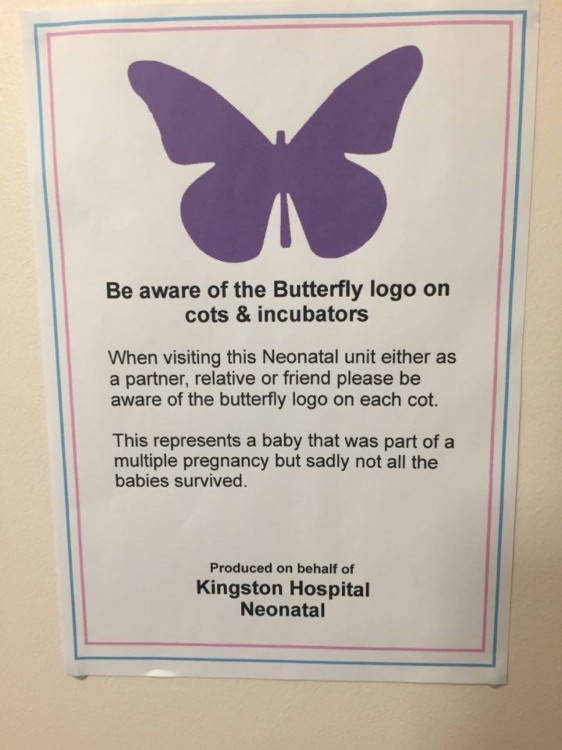 Purple Butterfly sticker