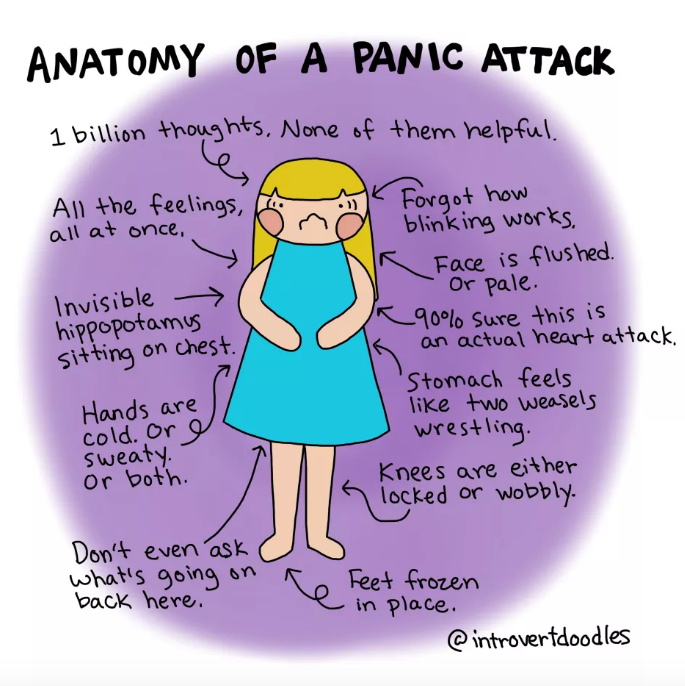 Chart of a girl having a panic attack