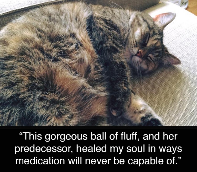 cat. text reads: This gorgeous ball of fluff, and her predecessor, healed my soul in ways medication will never be capable of.