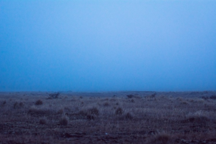 A field and a dark blue sky,