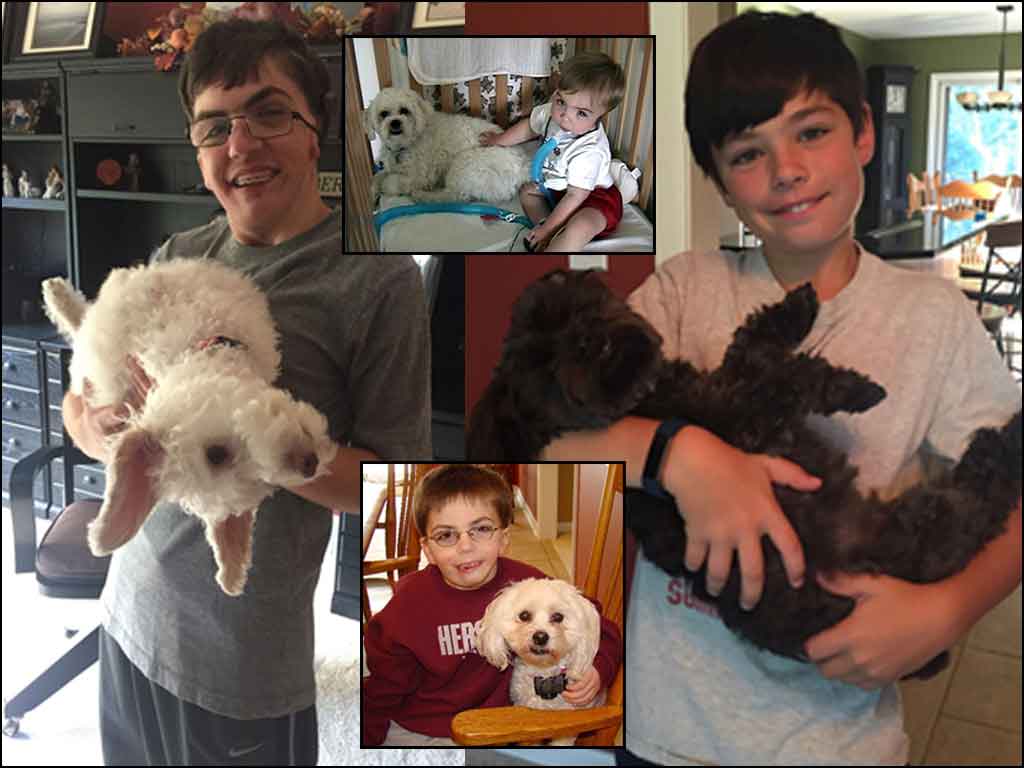 Collage of the author's two sons holding dogs, with photos of one of the author's sons at younger ages next to the family dog