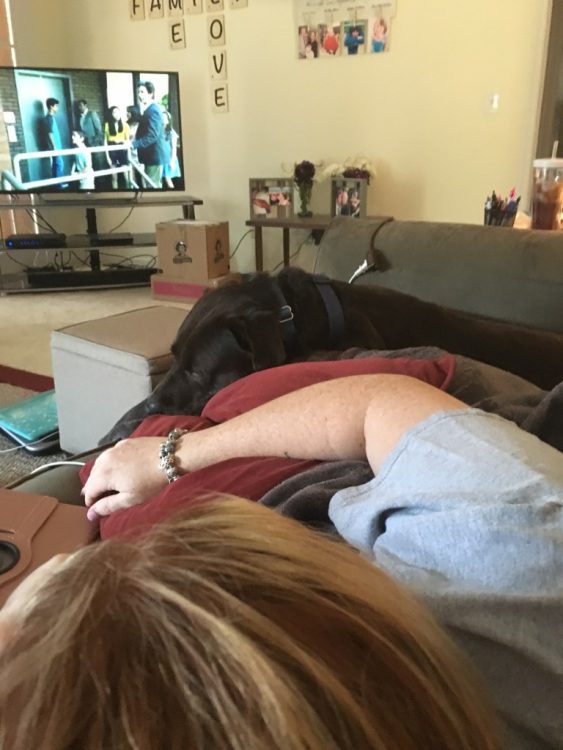 woman lying on couch watching tv with dog