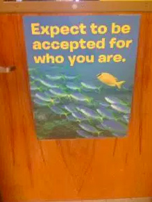 Poster on wooden door that says [Expect to be accepted for who you are] with an illustration of a school of fish with one fish that appears different from the others
