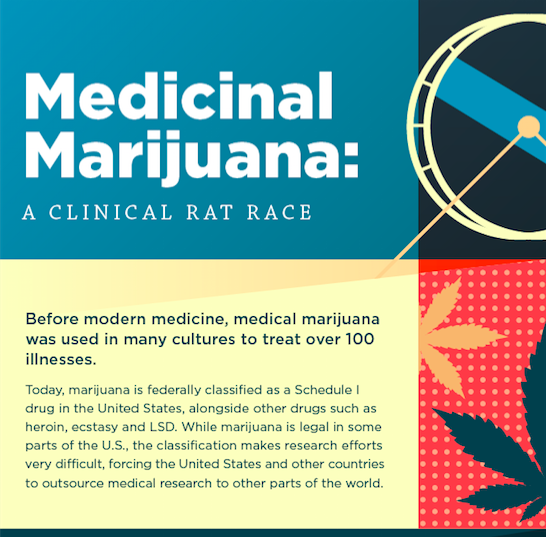 medical marijuana infographic
