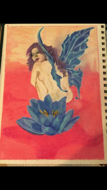 A fairy with blue wings, sitting behind a flower. Drawn by the writer.