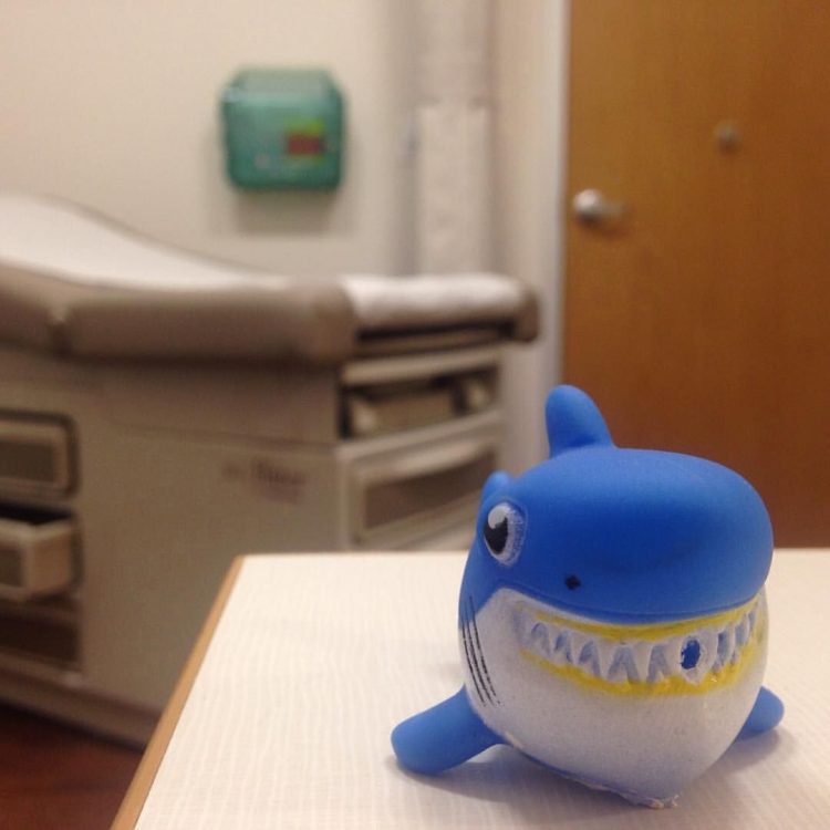 toy shark in a doctor's office