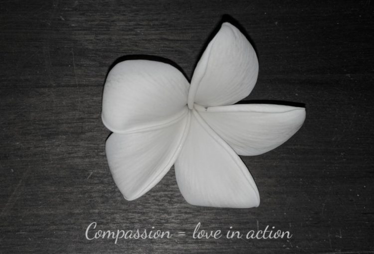 A photo of a flower with the text that reads, "Compassion = love in action."