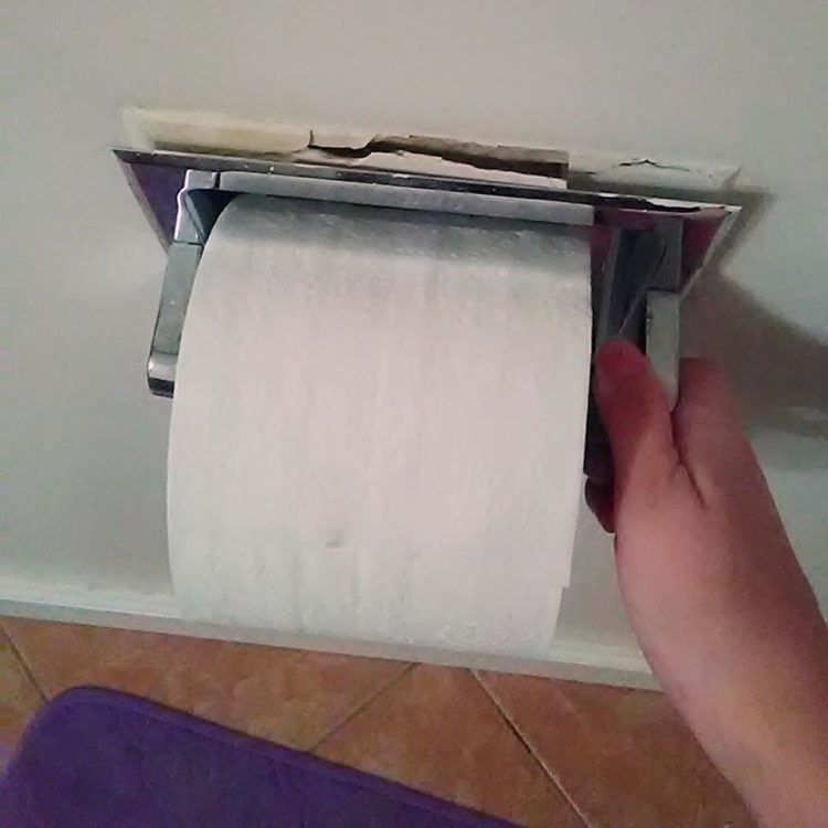 toilet paper roll