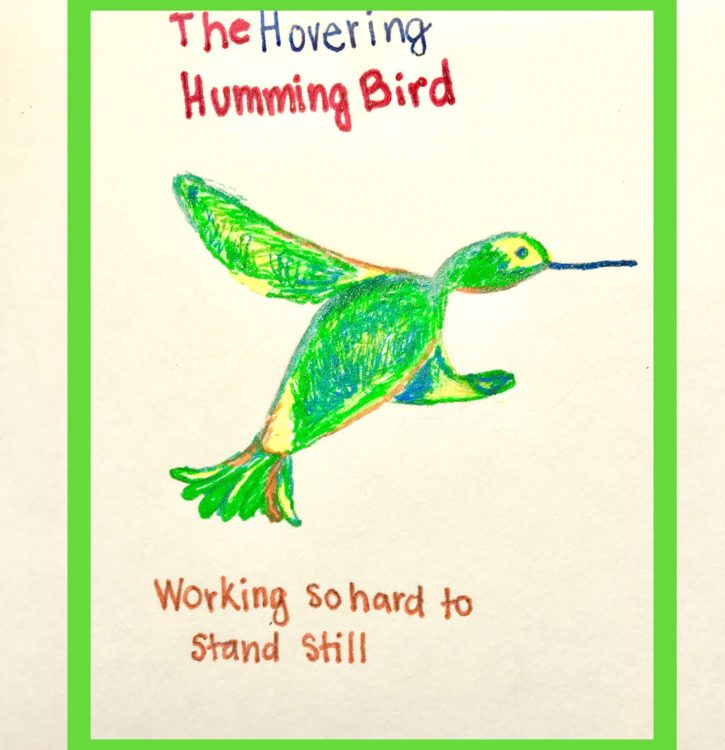 the hovering hummingbird mascot
