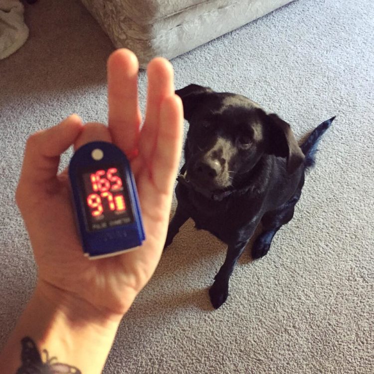 woman holding heart rate monitor next to service dog