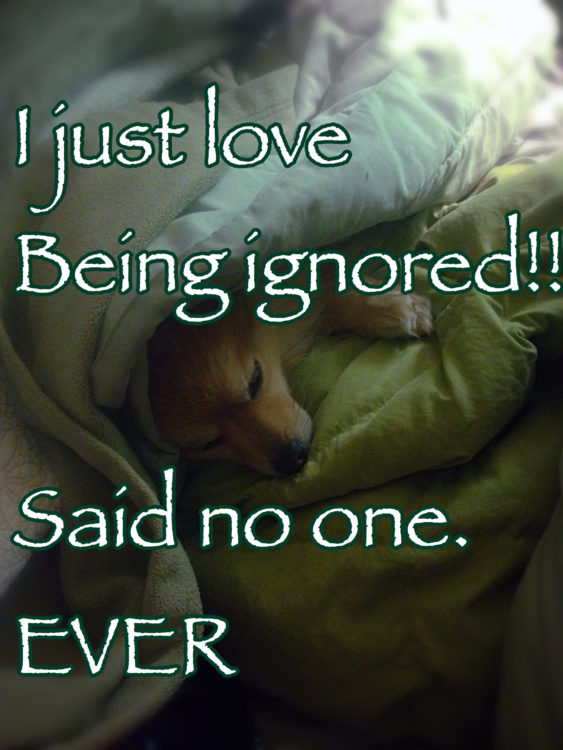 'I just love being ignored! said no one ever'