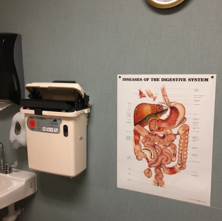 doctor's office with a diagram of the digestive system on the wall