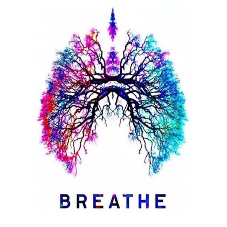 colorful drawing of lungs with the word 'breathe'