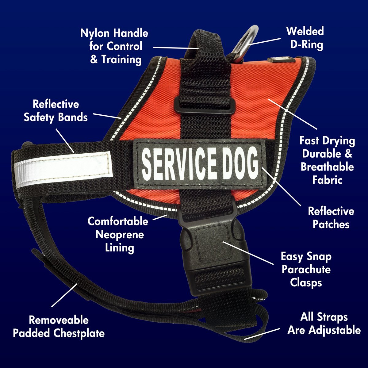 Red service dog harness with reflective band.