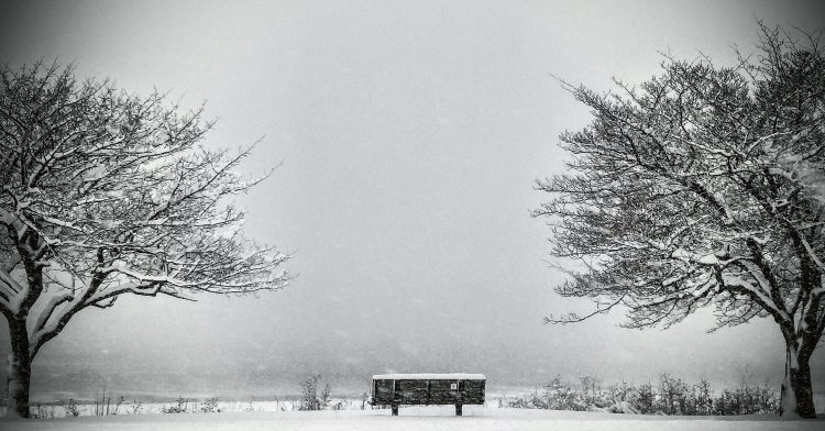 bench outside in the winter