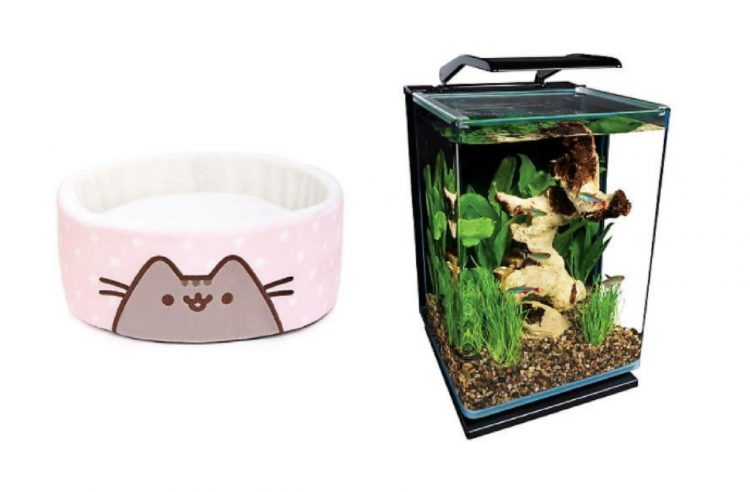 pink cat bed and small aquarium tank