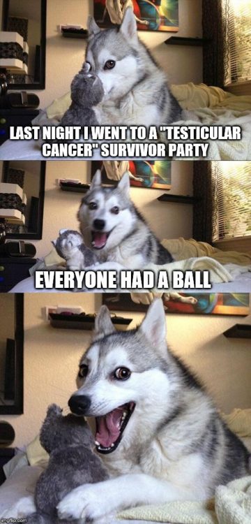 dog ball testicular cancer meme