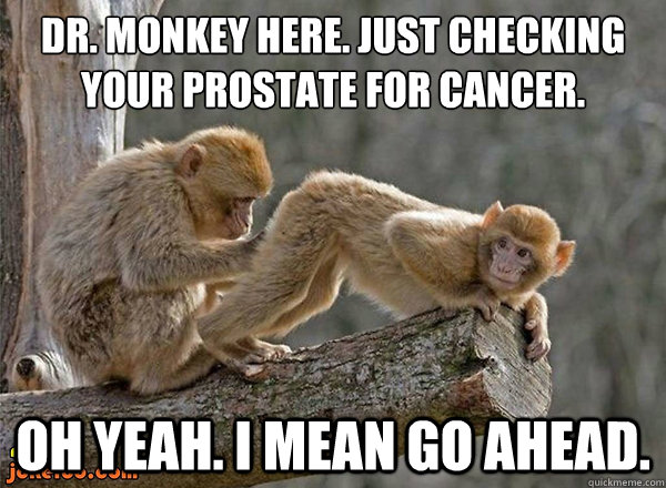 monkey prostate cancer meme