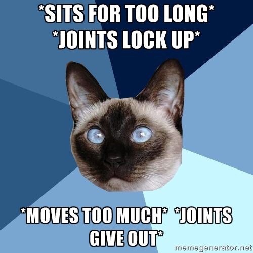 *sits for too long, joints lock up* *moves too much, joints give out*