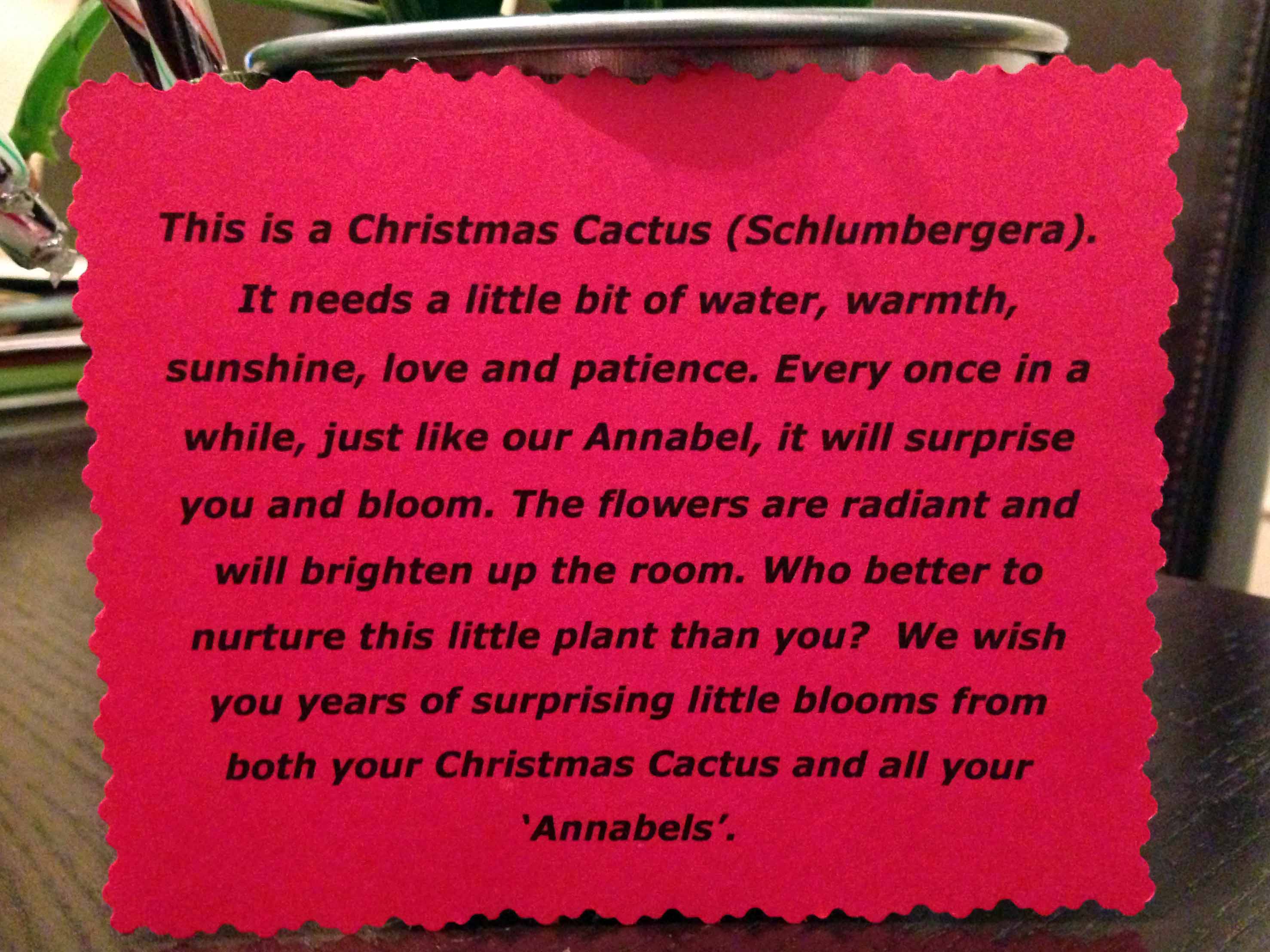 Christmas note, gift 