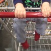 young boy sitting in grocery cart