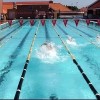 person swimming laps in a pool