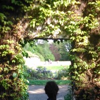 A small child walking through an opening in a gate covered from leaves