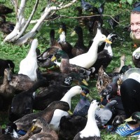 A young woman outside surrounded by ducks