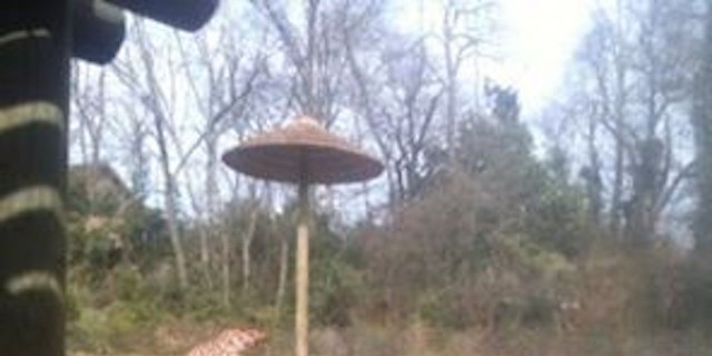 To the Faulty Gene I Gave My Son