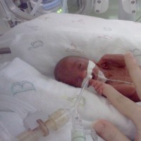 preemie baby in hospital holding finger of adult