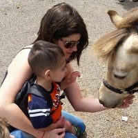 mother and son feeding a pony