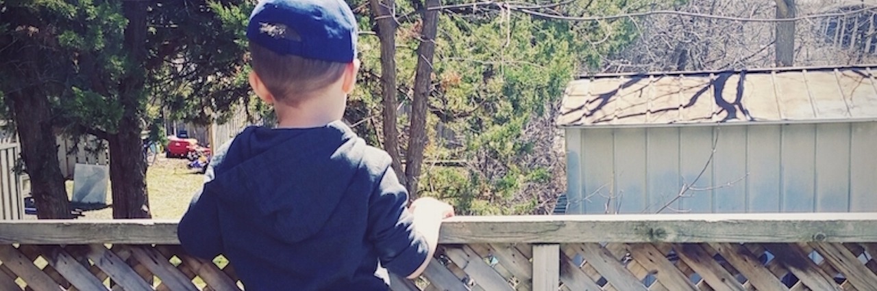 author's son looking over a fence