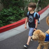 A young boy with his service dog
