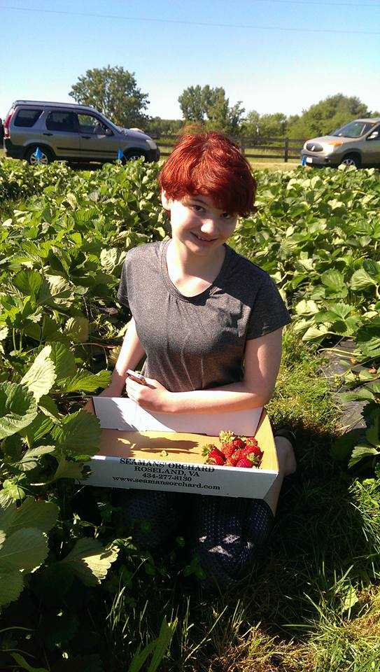 A young woman picking strawberries. 