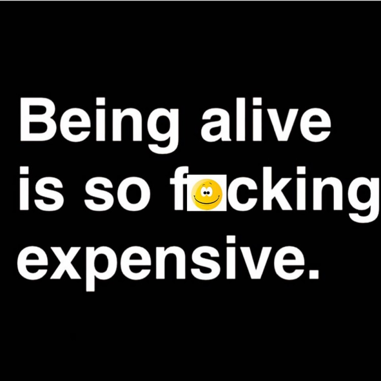 chronic illness meme: being alive is so fucking expensive