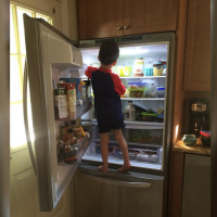 A young boy standing on the freezer, looking at an open fridge