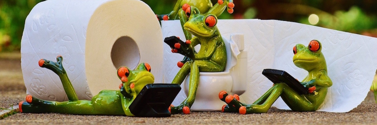 Frog figurines on the toilet