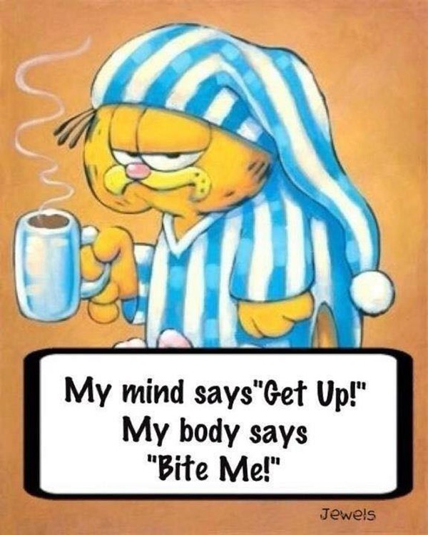 fibromyalgia meme: my mind says 'get up' my body says 'bite me'