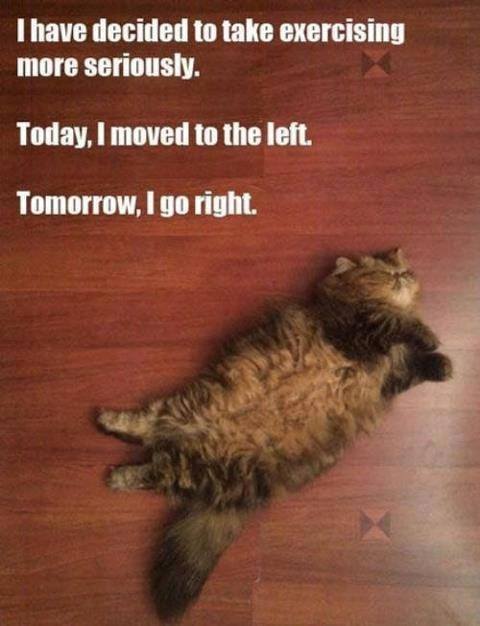 fibromyalgia meme: i've decided to take exercising more seriously. today i moved to the left. tomorrow, i go right.