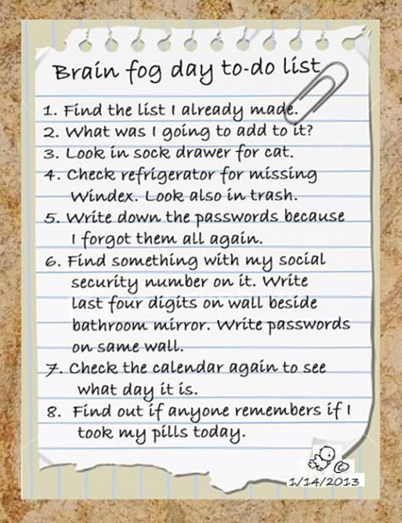 fibromyalgia meme: brain fog day to do list