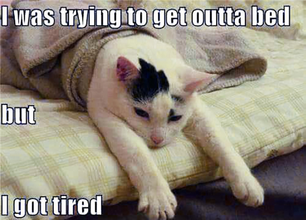fibromyalgia meme: i was trying to get outta bed but i got tired.